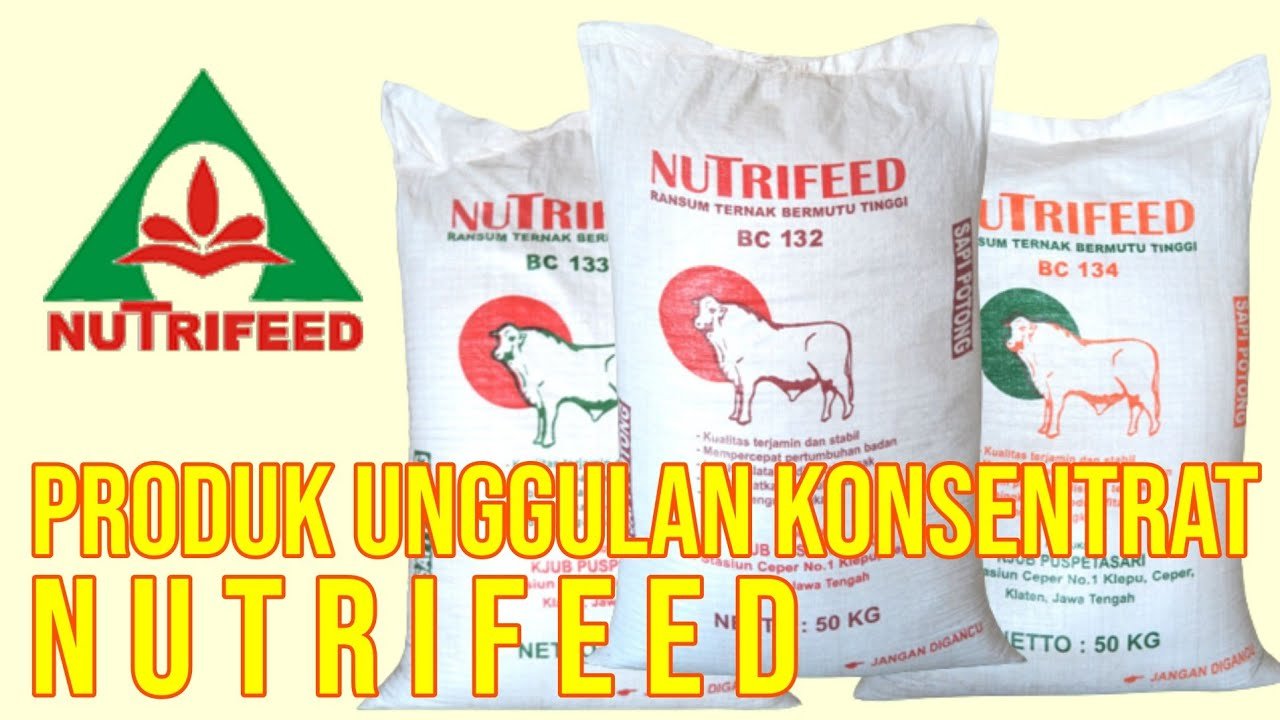 
                                 Nutrifeed-Ciptakan-Produk-Pakan-Ternak-Sapi-Berkualitas-Dan-Beragam